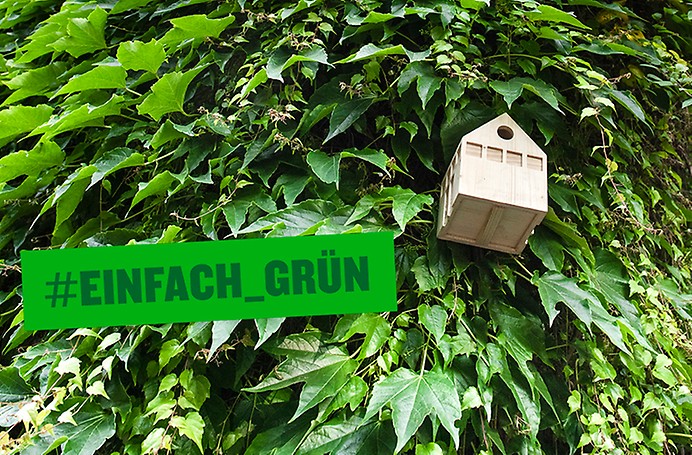 Ausstellung „Einfach Grün!“ in Mönchengladbach