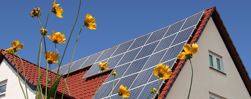 Photovoltaik-Anlagen: Das müssen Sie beachten